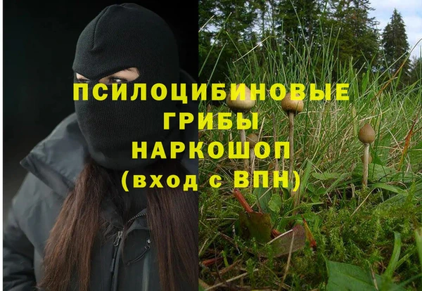 гашиш Кодинск