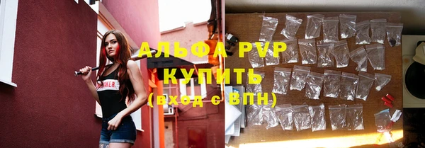 сатива Корсаков