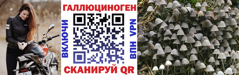 что такое наркотик  Коркино  Галлюциногенные грибы Psilocybe 